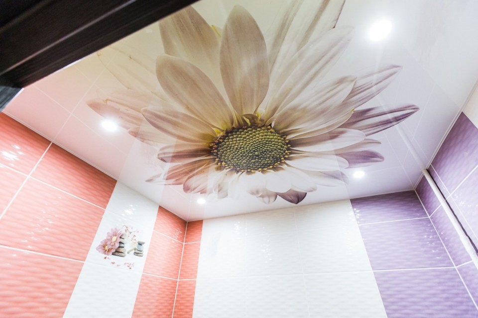 Заказать натяжной потолок с фотопечатью в г. Владимир